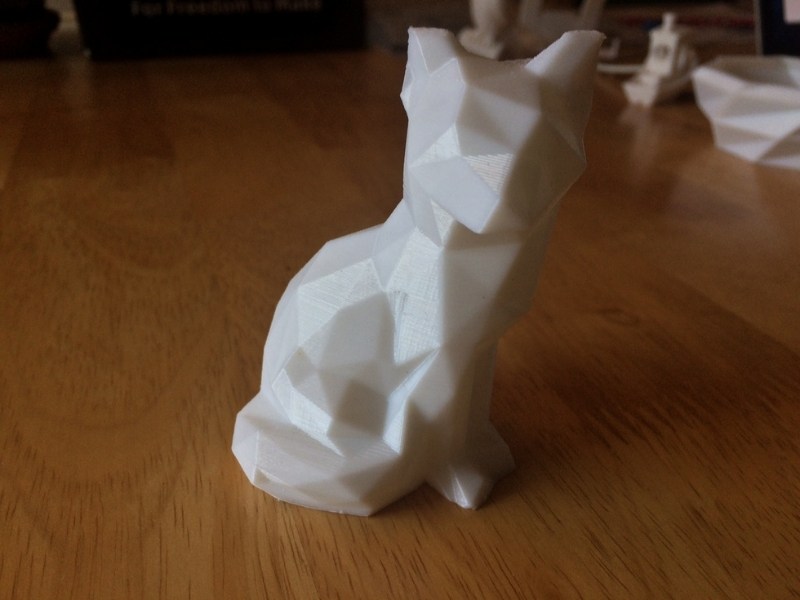 cat print Anycubic Kobra